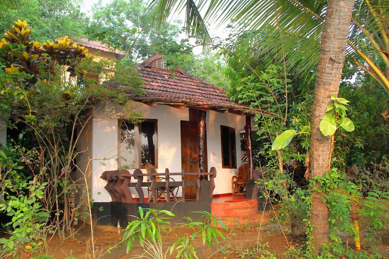 Hotel Big Banana Island Retreat North Paravur Zewnętrze zdjęcie