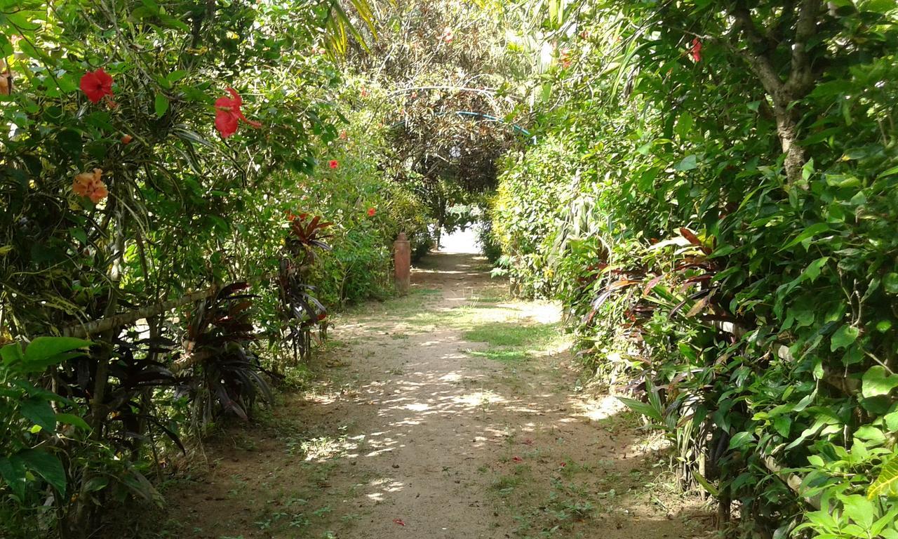 Hotel Big Banana Island Retreat North Paravur Zewnętrze zdjęcie