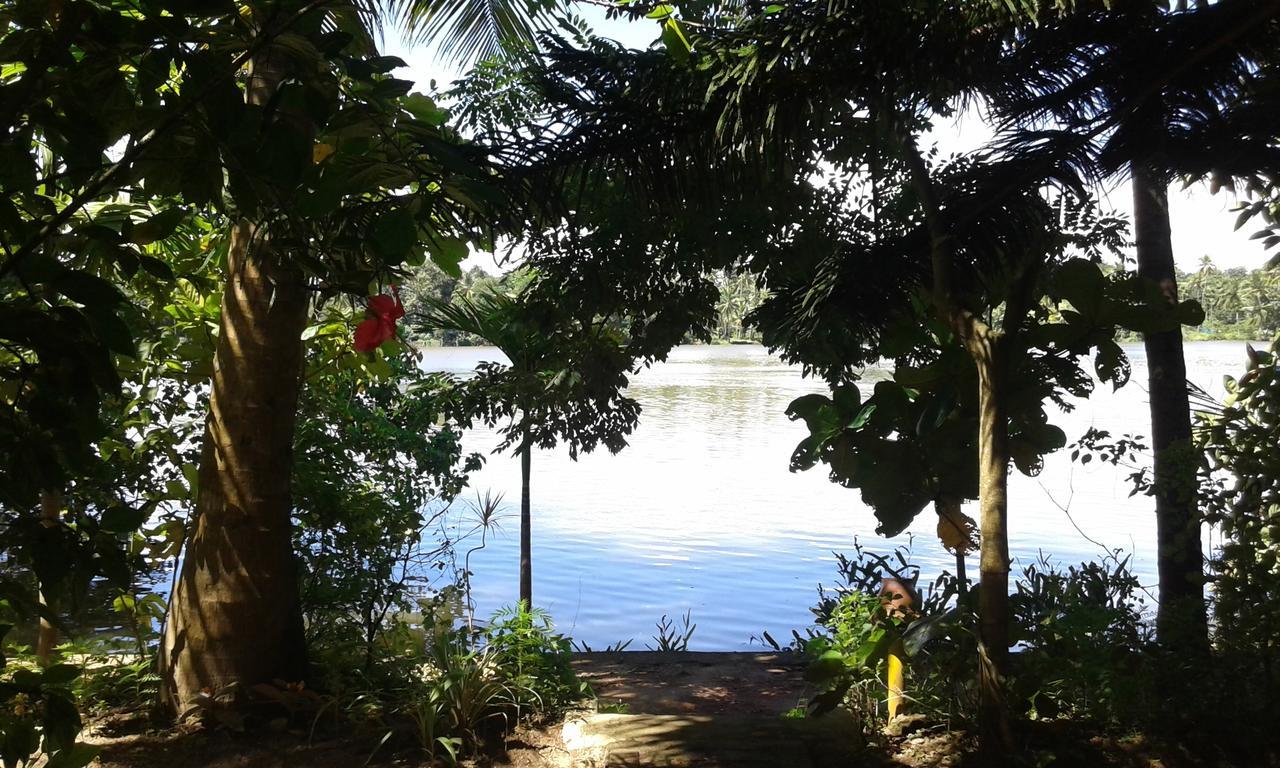 Hotel Big Banana Island Retreat North Paravur Zewnętrze zdjęcie